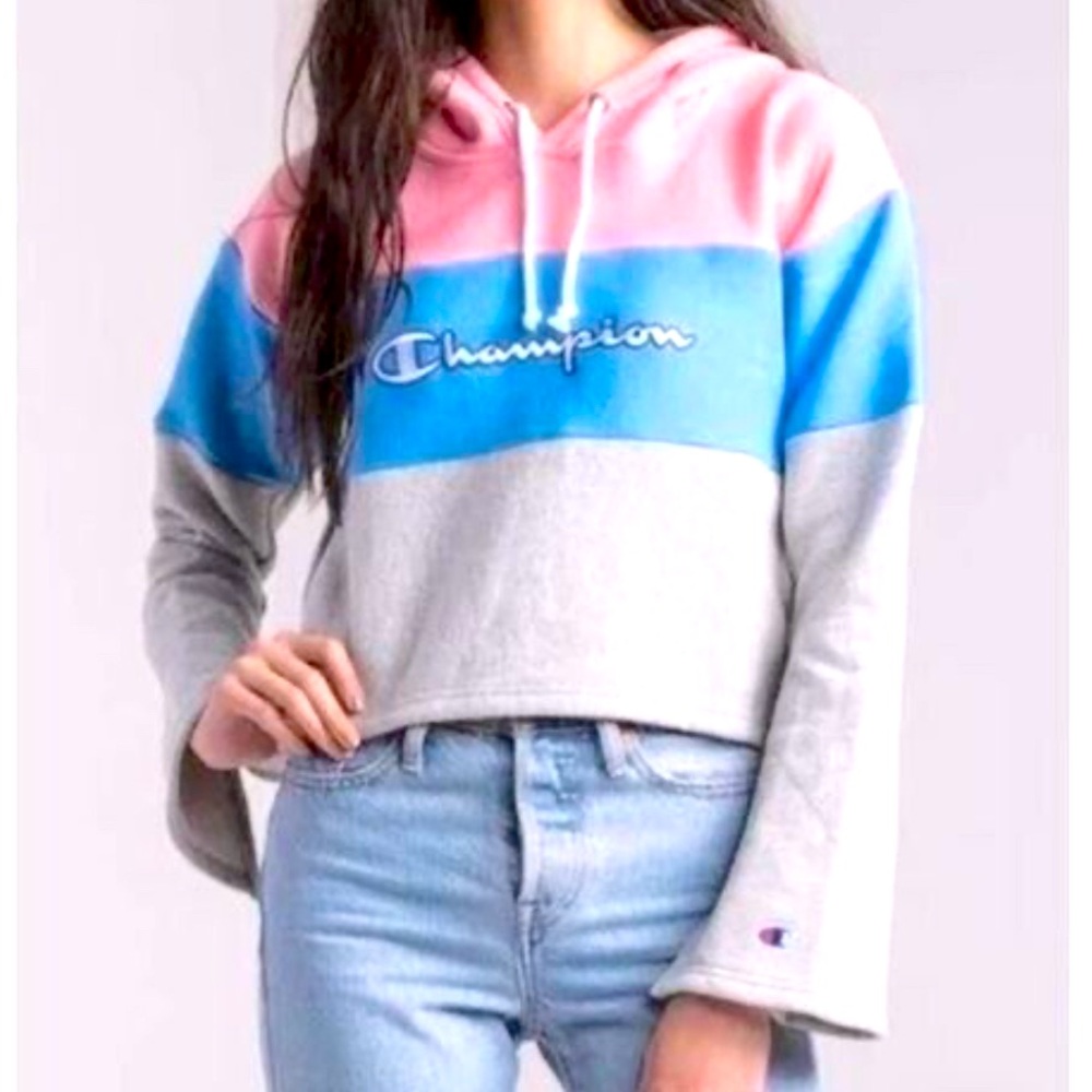 Size Large Champion crop sweater